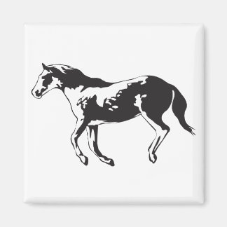 Imã cavalo3