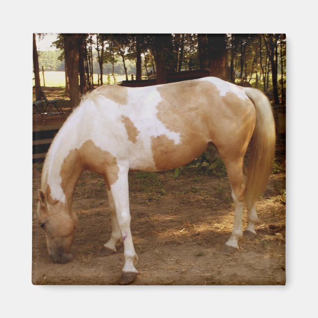 Imã Cavalo 3, Magnet (Frente)