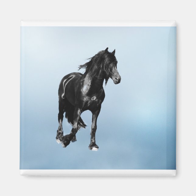 Imã Cavalo a virar subitamente (Frente)
