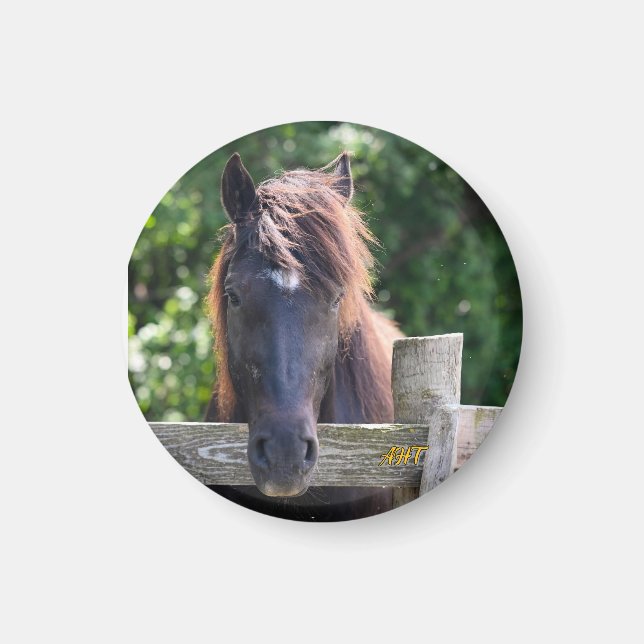 Imã Cavalo AHT (Frente)