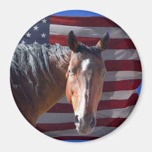 Imã Cavalo americano e bandeira de um quarto -
