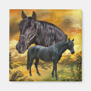 Imã Cavalo Andaluz Arte Equestre Espanhola