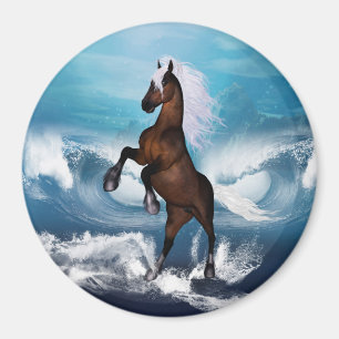 Imã Cavalo bonito com