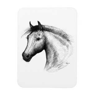 Ímã Cavalo:Branca