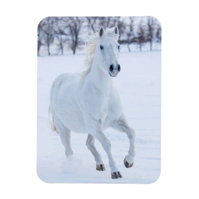 Ímã Cavalo Branco Correndo na Neve (Vertical)