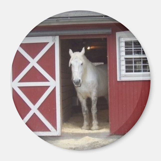 Imã Cavalo Branco Em Camarão Vermelho (Frente)