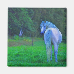 Imã Cavalo Branco em Presente de Arte Magnética à Lua