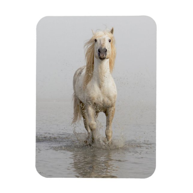 Ímã Cavalo Camargue Correndo na Água (Vertical)