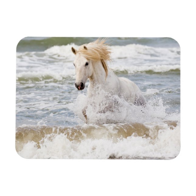 Ímã Cavalo Camargue nas Ondas (Horizontal)