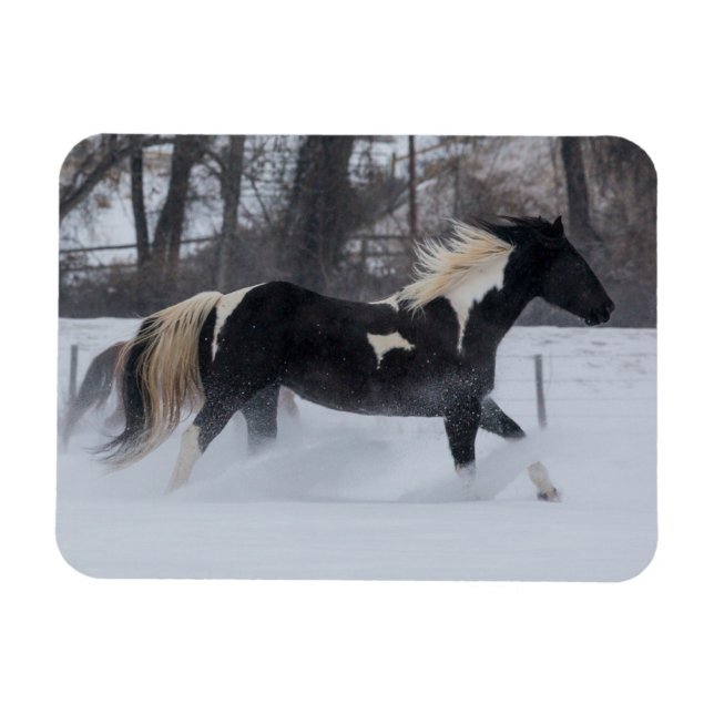 Ímã Cavalo Correndo Através da Neve (Horizontal)