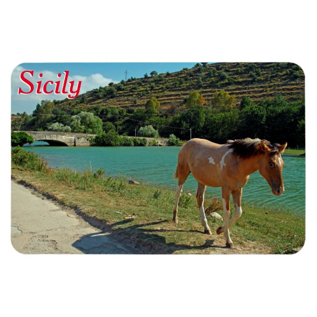 Ímã Cavalo da Sicília (Horizontal)