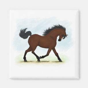 Imã Cavalo De Baía Com Blaze
