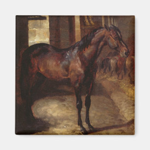 Imã Cavalo de baía escuro no estábulo