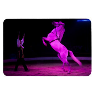 Ímã Cavalo de Circo Rosa