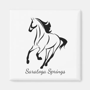 Imã Cavalo de competência de Saratoga Springs