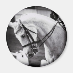 Imã Cavalo de Dresagem Preto e Branco