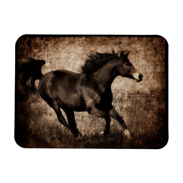 Ímã Cavalo de Galopagem Russo Sepia (Horizontal)