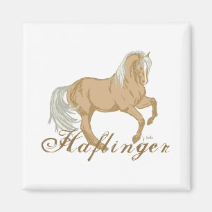 Imã Cavalo de Haflinger