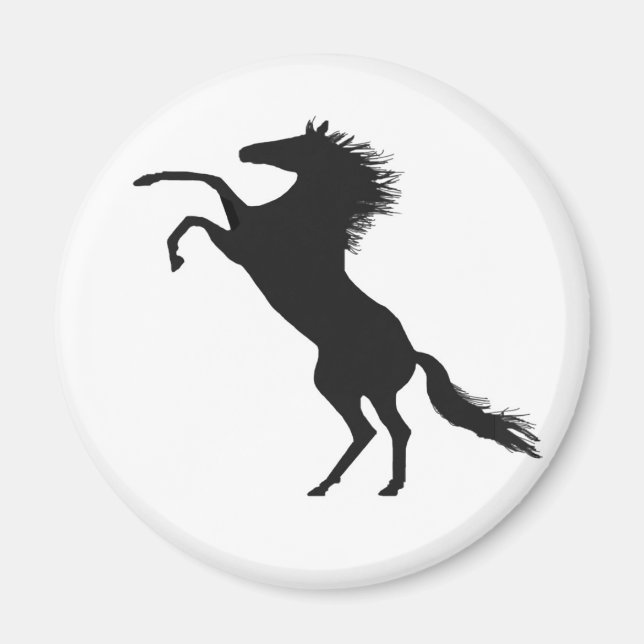 Imã Cavalo-de-ouro (Frente)