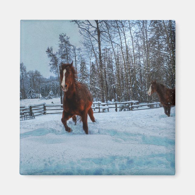 Imã Cavalo de Sorrel Espiritado em Neve para amantes d (Frente)