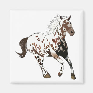 Imã Cavalo do Appaloosa