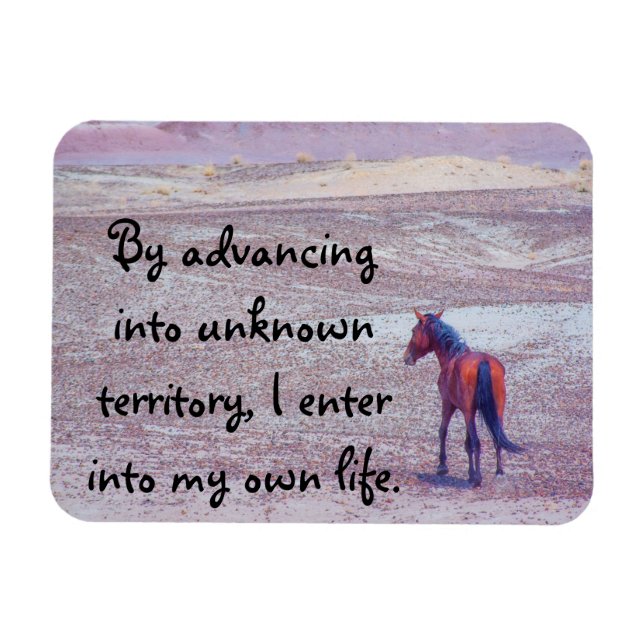 Ímã Cavalo do Deserto P8640 (Horizontal)