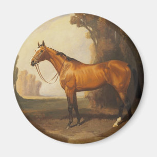 Imã Cavalo do puro-sangue de Brown do vintage