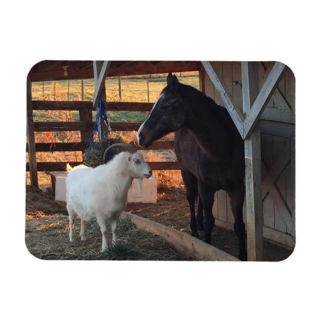 Ímã Cavalo e Caprino na Fazenda (Horizontal)