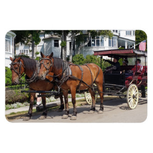 Ímã Cavalo e Carruagem na Ilha Mackinac MI