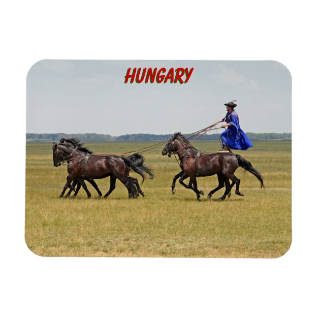 Ímã Cavalo e cavalos da Hungria (Horizontal)