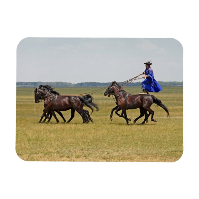 Ímã Cavalo e cavalos da Hungria (Horizontal)