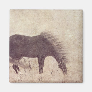 Imã Cavalo e noivo no inverno