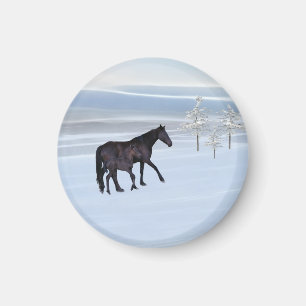 Imã Cavalo e potro na neve