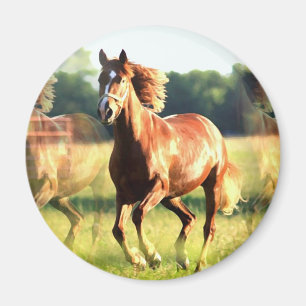 Imã Cavalo em Execução