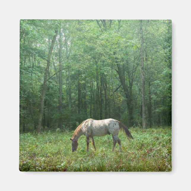 Imã Cavalo em Meadow (Frente)