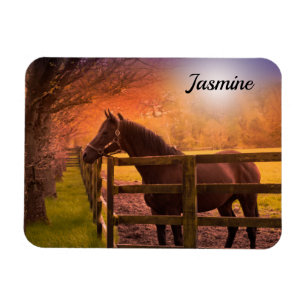 Ímã Cavalo em Paddock Personalizado