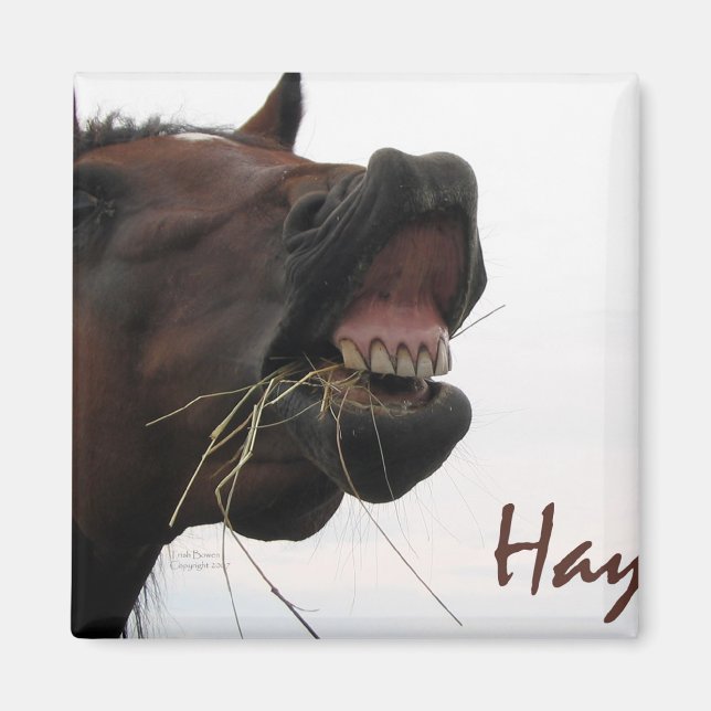 Imã Cavalo Engraçado: Hay! (Frente)