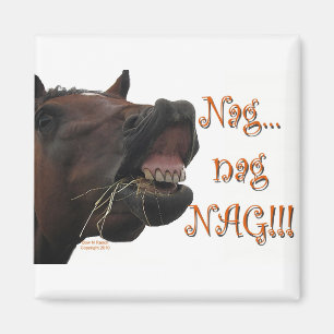 Imã Cavalo engraçado: Nag, nag, nag