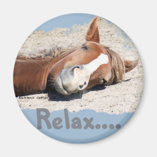 Imã Cavalo engraçado: Relaxe