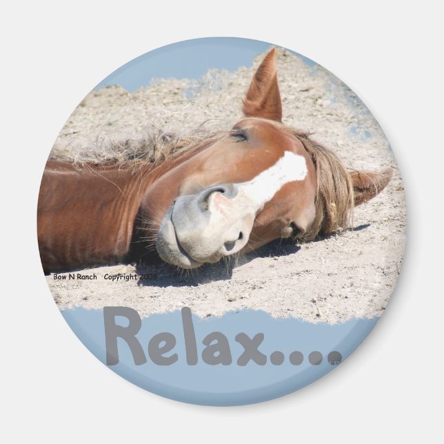 Imã Cavalo Engraçado: Relaxe (Frente)