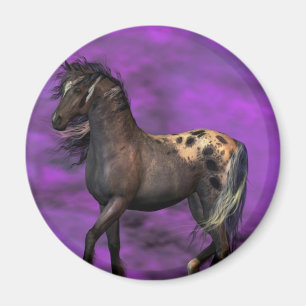 Imã Cavalo indiano