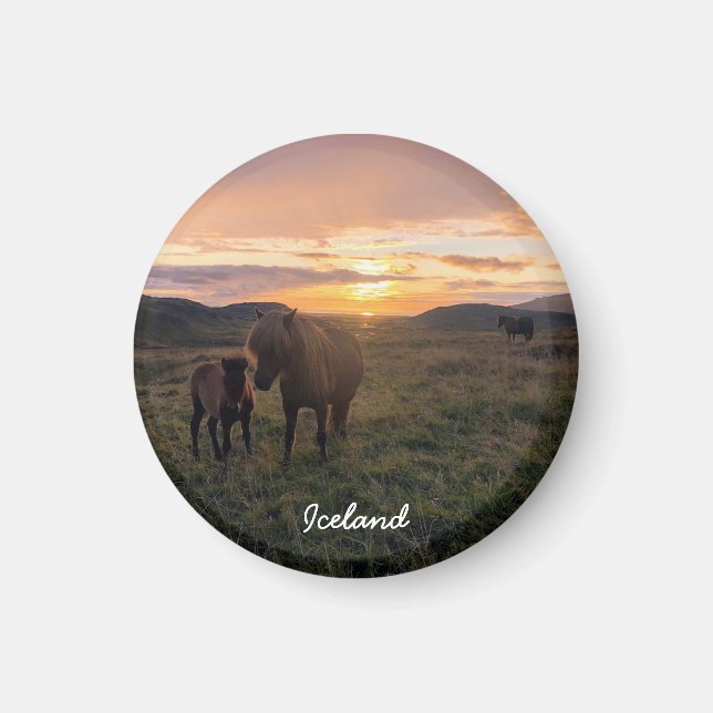 Imã Cavalo islandês - ímã paisagístico (Frente)