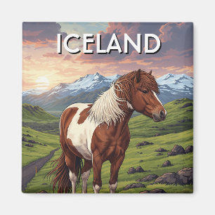 Imã Cavalo islandês na Islândia Viagem