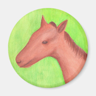 Imã Cavalo jovem, pônei, com alface aquática