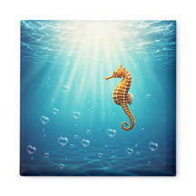 Cavalo-marinho com bolhas de coração