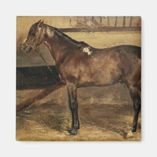 Imã Cavalo marrom em estábulos estáveis