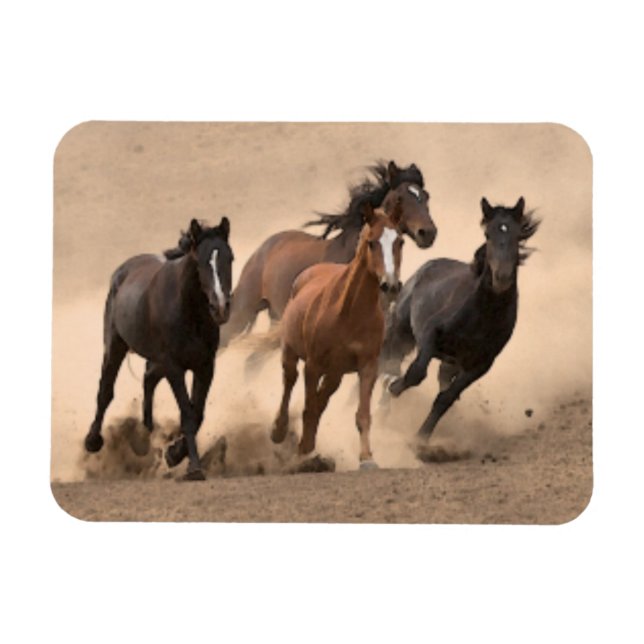 Ímã Cavalo na Queda II (Horizontal)