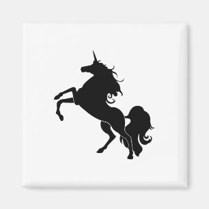 Imã Cavalo Negro