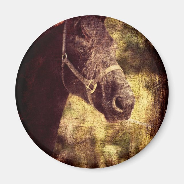 Imã Cavalo Negro (Frente)