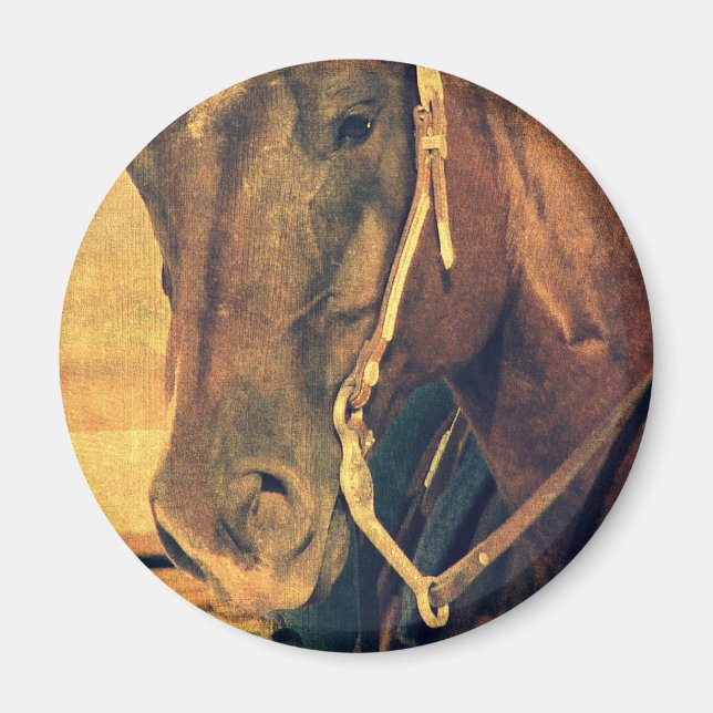 Imã Cavalo Ocidental (Frente)